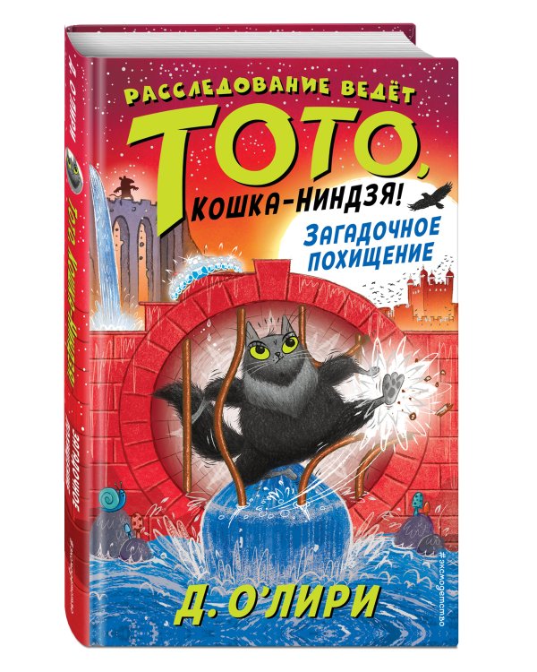 Загадочное похищение (выпуск 4)