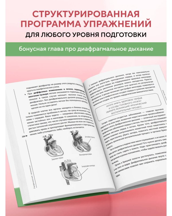 Лимфатический самомассаж. Практики, которые избавят вас от отечности, чувства тяжести и нормализуют пищеварение