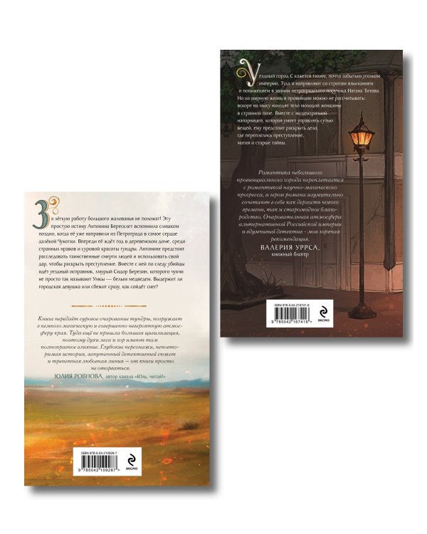 Комплект из 2-х книг. Медвежий край + Уездный город С