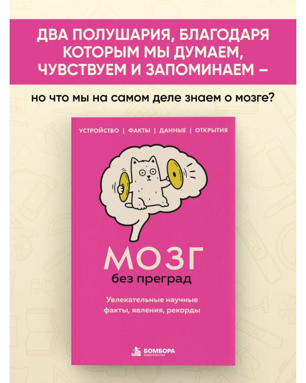 Дополнительное изображение книги «Мозг без преград. Увлекательные научные факты, явления, рекорды»