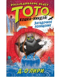 Загадочное похищение (выпуск 4)