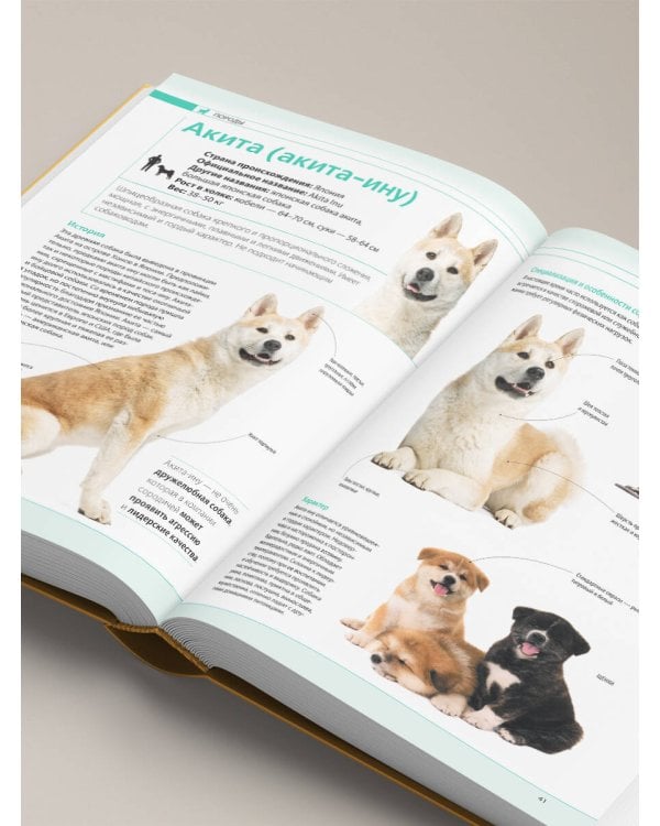 Собаки. Подарочная иллюстрированная энциклопедия (новое оформление)