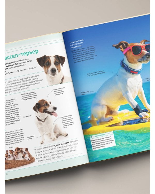 Собаки. Подарочная иллюстрированная энциклопедия (новое оформление)