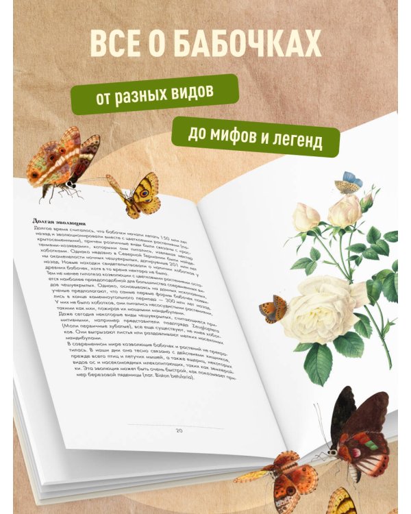 Дополнительное изображение книги «Бабочки! Маленькая энциклопедия. Обаятельная книжка о красивом существе»