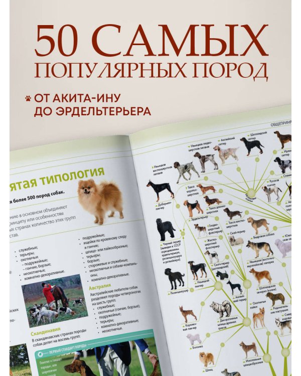 Собаки. Подарочная иллюстрированная энциклопедия (новое оформление)