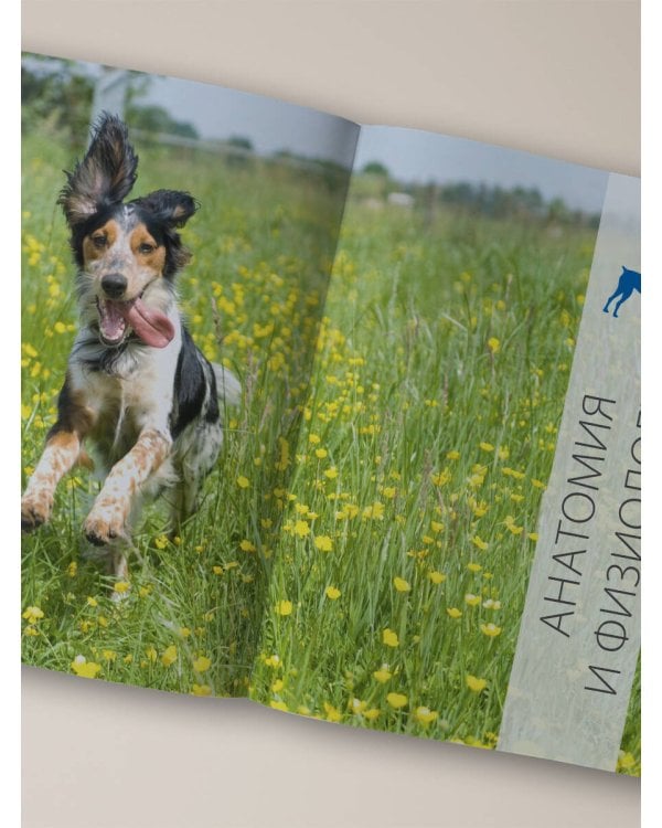 Собаки. Подарочная иллюстрированная энциклопедия (новое оформление)