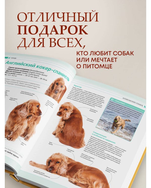 Собаки. Подарочная иллюстрированная энциклопедия (новое оформление)