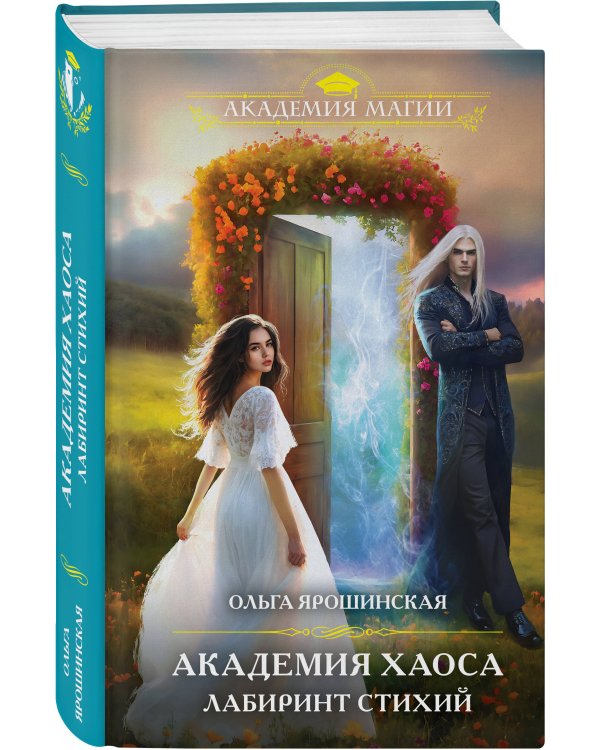 Академия хаоса. Лабиринт стихий