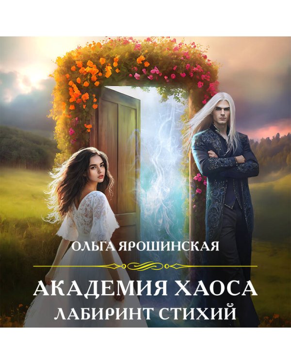 Академия хаоса. Лабиринт стихий