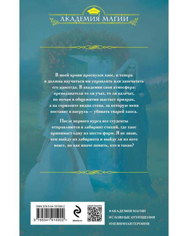 Академия хаоса. Лабиринт стихий