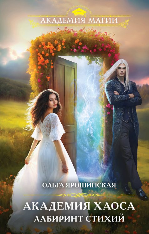 Академия Магии Академия хаоса. Лабиринт стихий