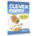 Clever Puppy: Step 2