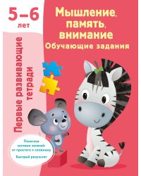 Мышление, память, внимание. Обучающие задания. 5-6 лет