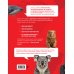 Красная книга мира. От Арктики до Африки. Иллюстрированная энциклопедия школьника (48 стр.)