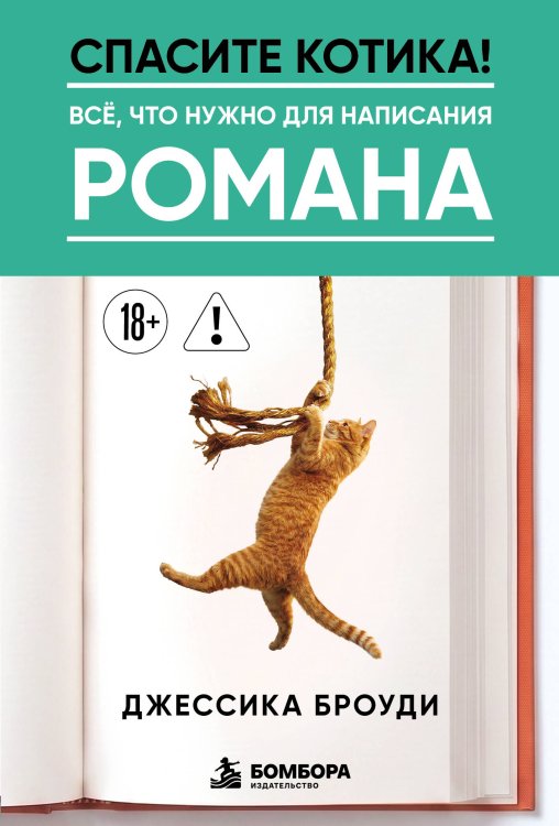 Обложка книги «Спасите котика! Всё, что нужно для написания романа» — Броуди Джессика, ISBN 9785042470752