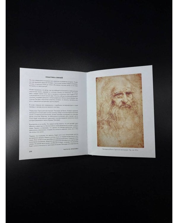 Структура таланта. От иллюзий к реальности: как стать настоящим художником