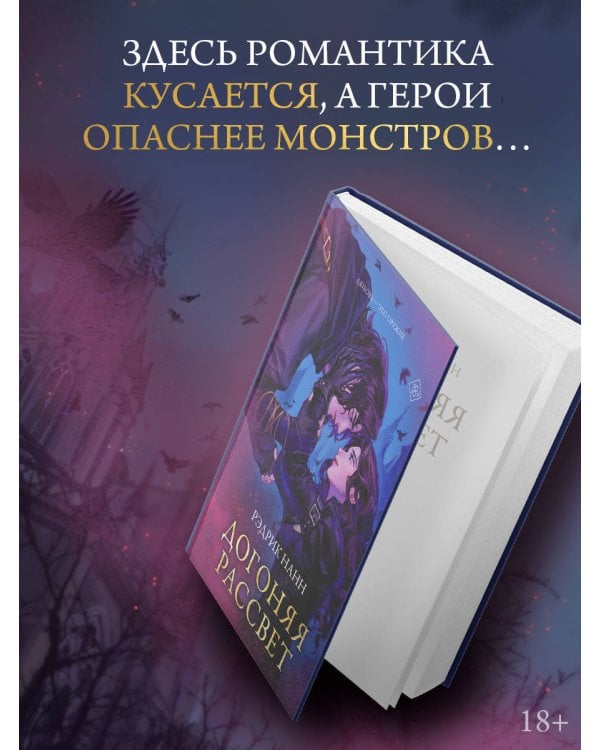 Догоняя рассвет