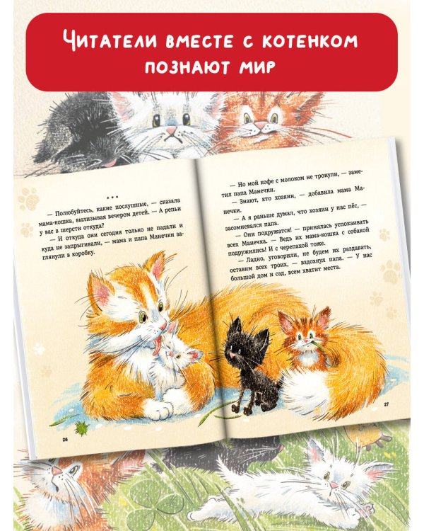 Курочкин котенок