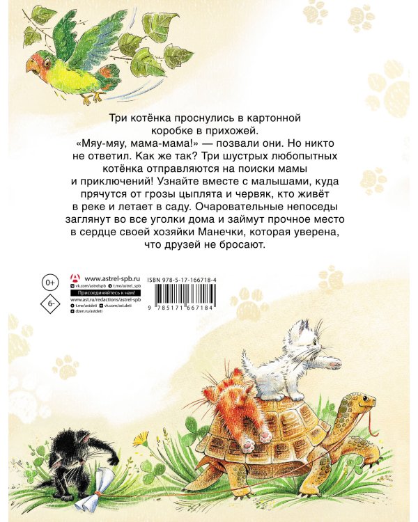 Курочкин котенок