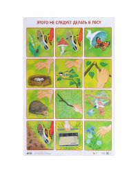 ПЛ Этого не следует делать в лесу