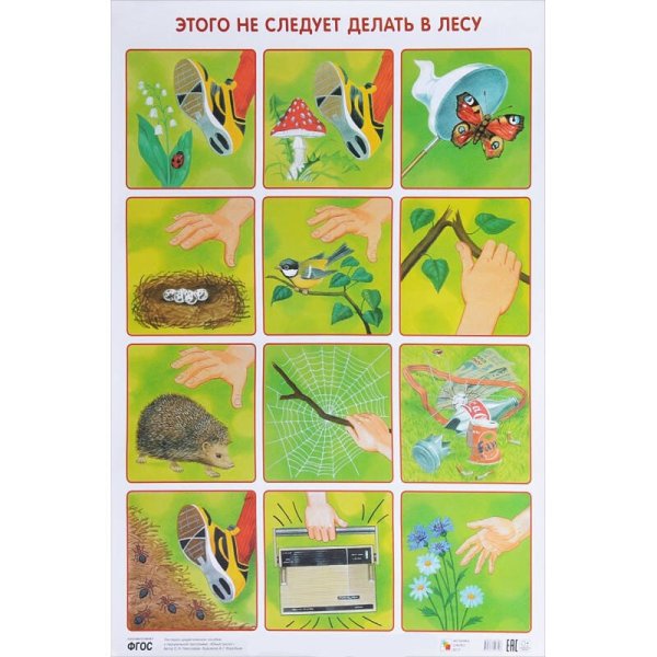 ПЛ Этого не следует делать в лесу