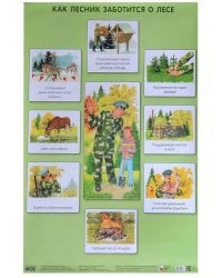 ПЛ Как лесник заботится о лесе