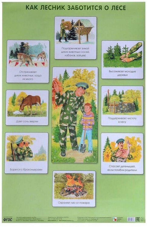 ПЛ Как лесник заботится о лесе