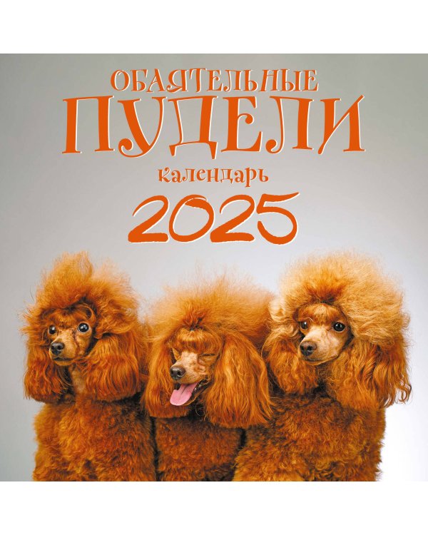 Обаятельные пудели. Календарь настенный на 2025 год (300х300 мм)