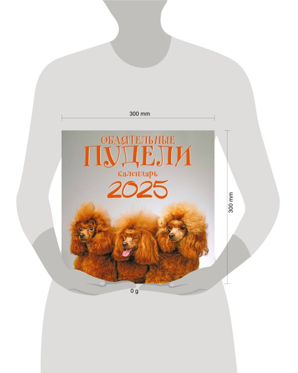 Обаятельные пудели. Календарь настенный на 2025 год (300х300 мм)