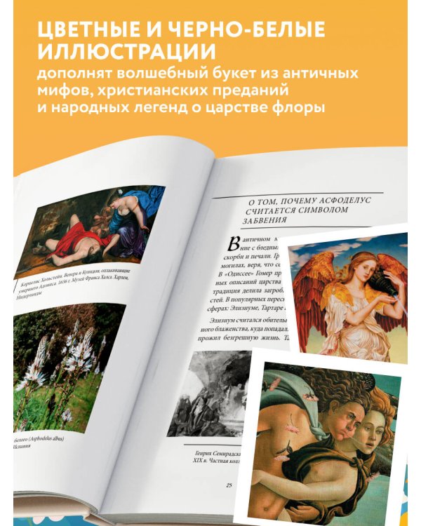 Ботанические мифы