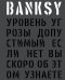 Обложка книги «BANKSY. Уровень угрозы допустимый. Если нет вы скоро об этом узнаете», ISBN 9785040043910