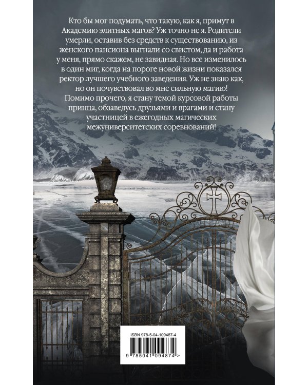 Дополнительное изображение книги «Академия элитных магов»