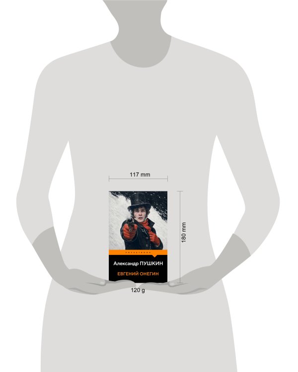 Дополнительное изображение книги «Евгений Онегин»