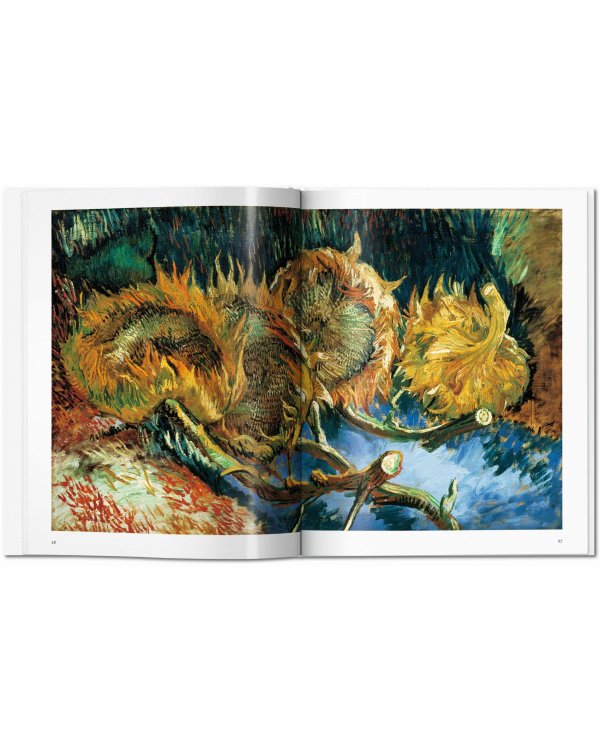 Van Gogh Винсент Ван Гог /Книги на английском языке