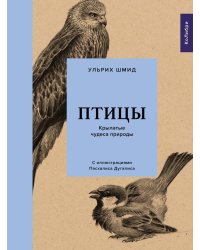 Птицы: Крылатые чудеса природы