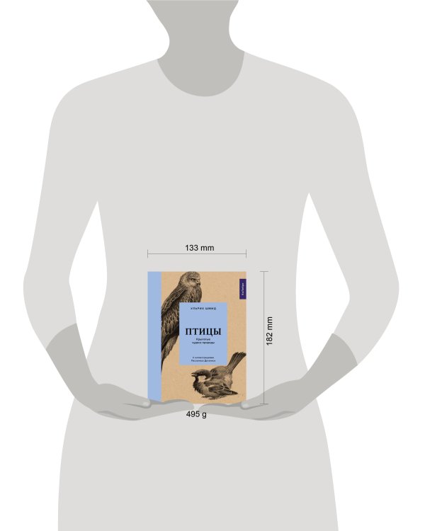 Птицы: Крылатые чудеса природы
