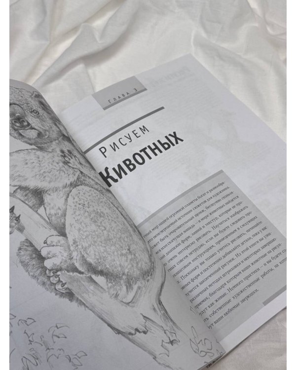 Основы рисования