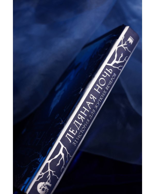 Ледяная ночь. 31 история для жутких вечеров