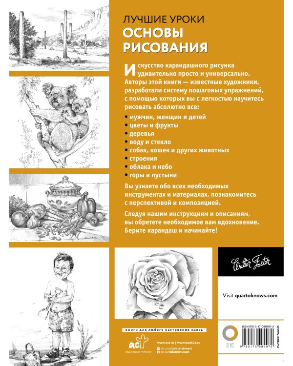Основы рисования