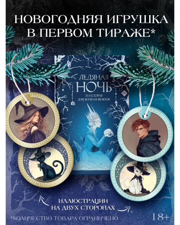 Ледяная ночь. 31 история для жутких вечеров