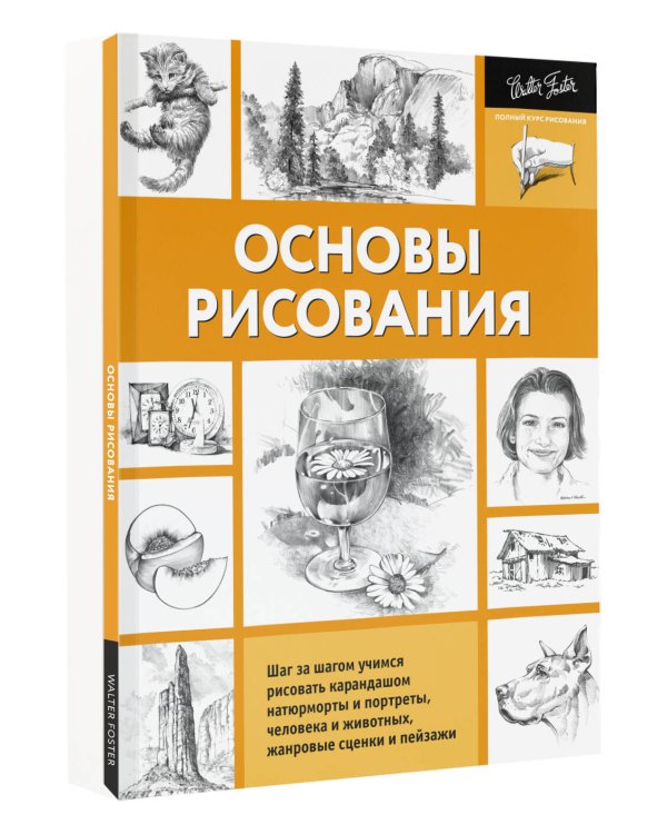 Основы рисования
