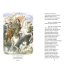 Медный всадник. Поэмы и пьесы (ил. Е. Комраковой)