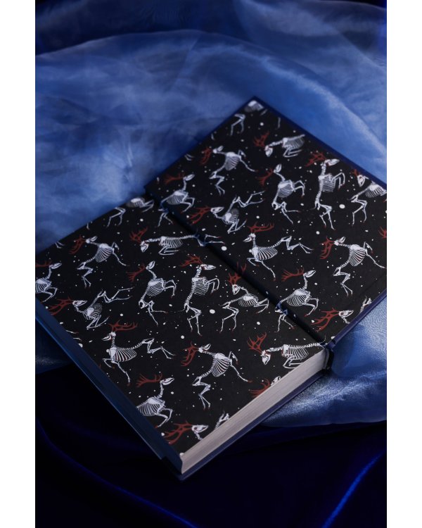 Ледяная ночь. 31 история для жутких вечеров