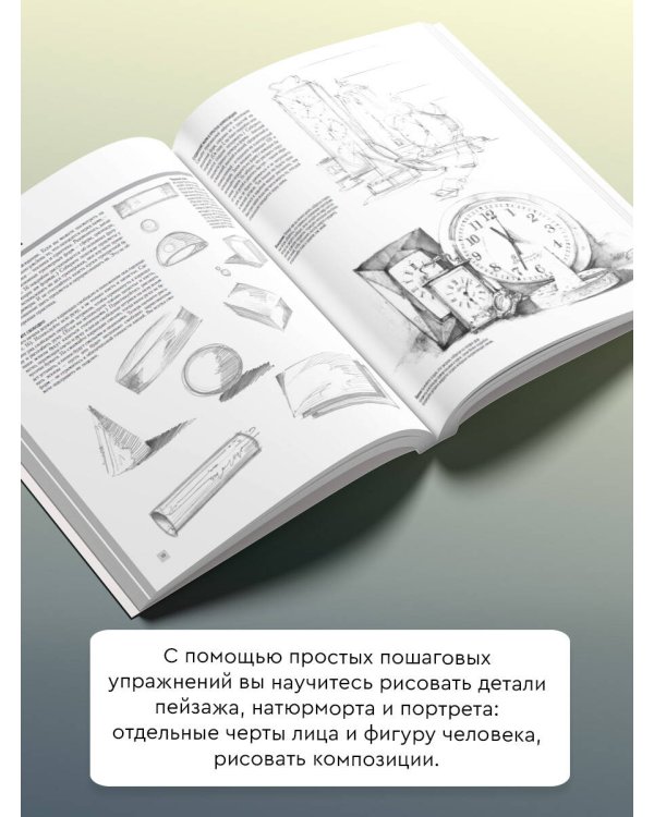 Основы рисования