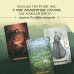 Таро Зачарованного леса (78 карт и руководство по работе с колодой в подарочном оформлении)