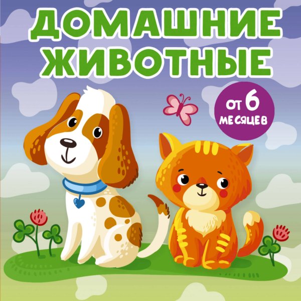 Книжки-малышки на картоне Домашние животные