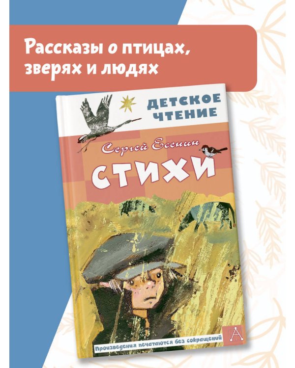 Стихи