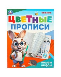 Пишем цифры. Цветные прописи. 165х205 мм. Скрепка. 16 стр. Умка в кор.50шт