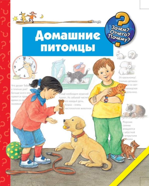 Зачем? Отчего? Почему? Домашние питомцы