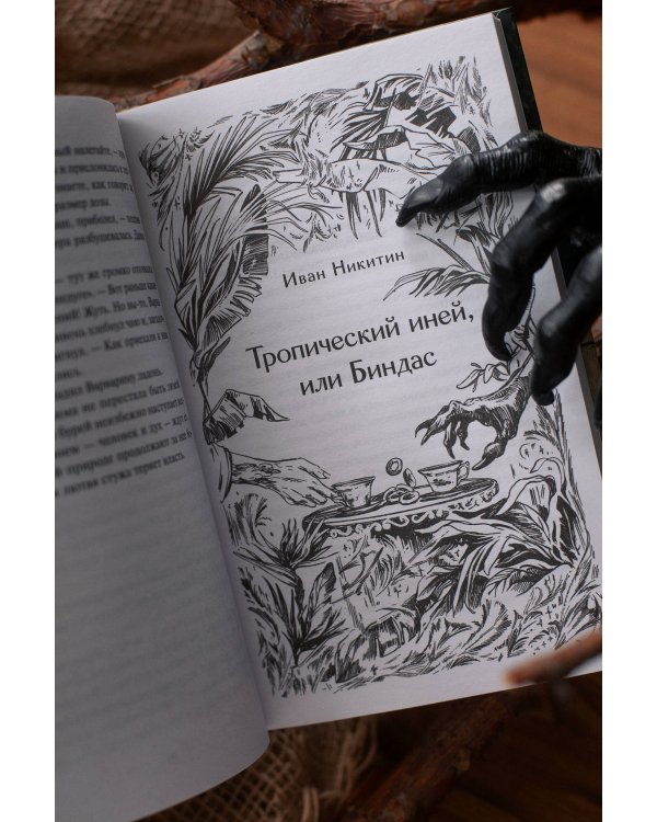 Дополнительное изображение книги «Хтонь за околицей»